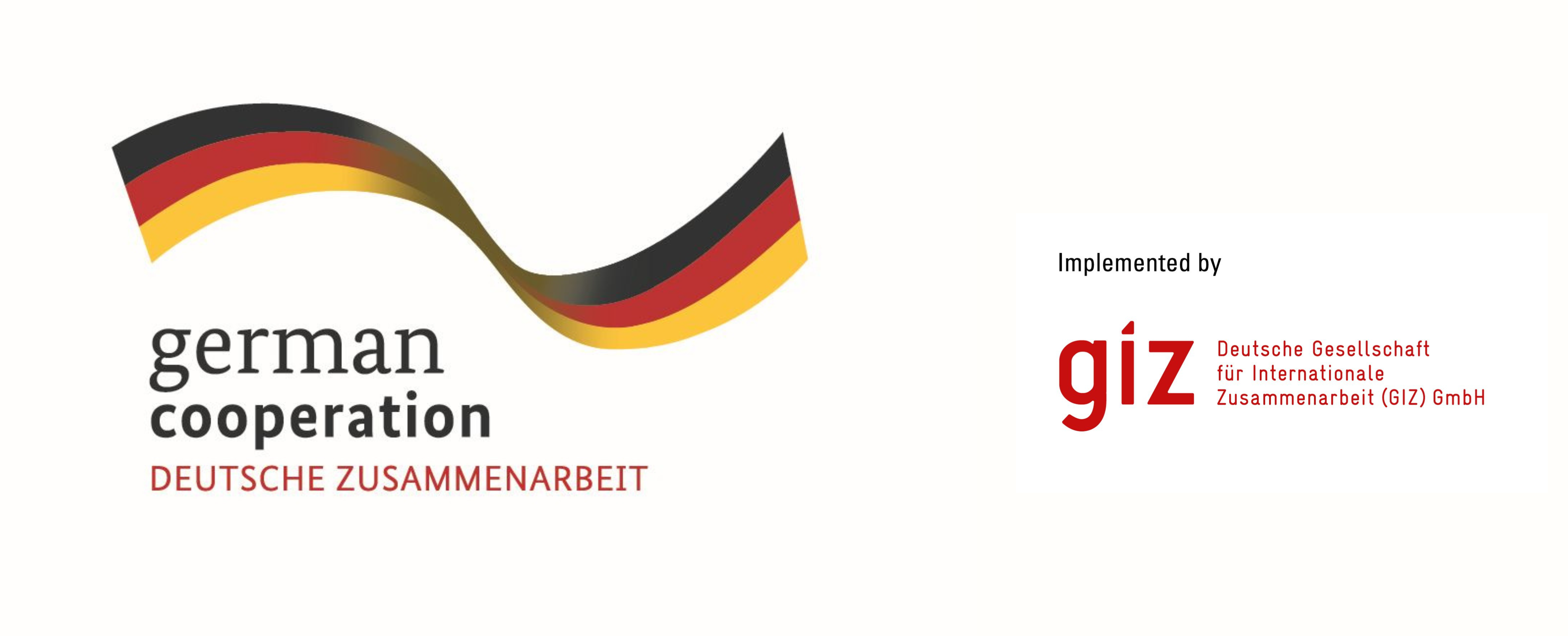 GIZ Logo