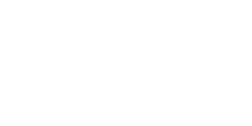 Enable Logo